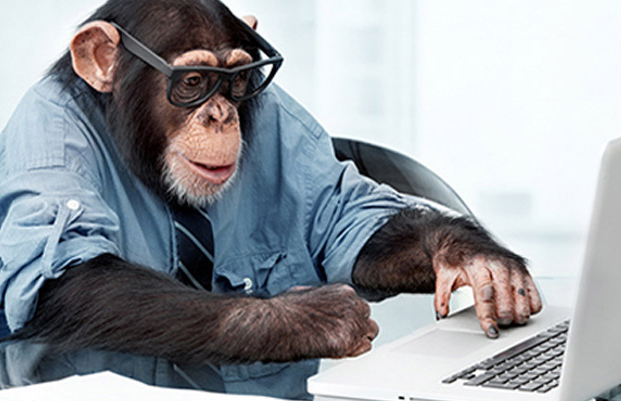 chimp