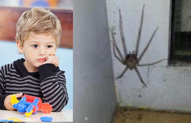 araigneeee