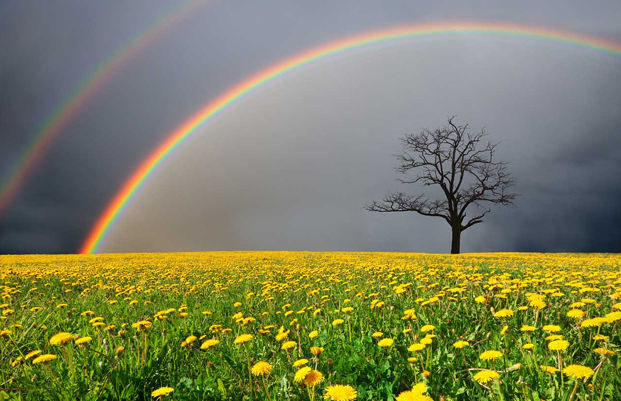 arc en ciel