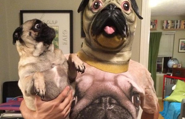 fanchien