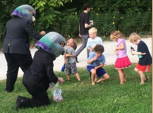 pigeons