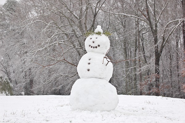 Auburn_Alabama_Snowman_2009